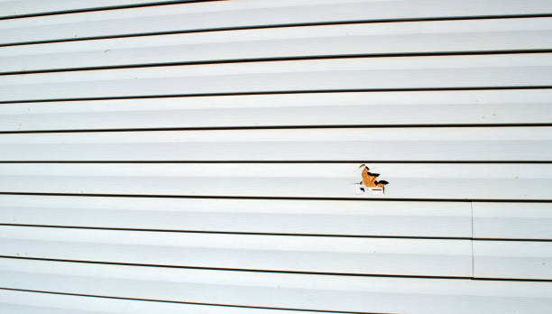 Affordable siding repair and maintenance services in Zachary, LA